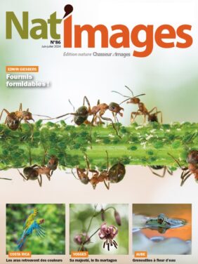 Nat’Images 86 Juin-juillet 2024