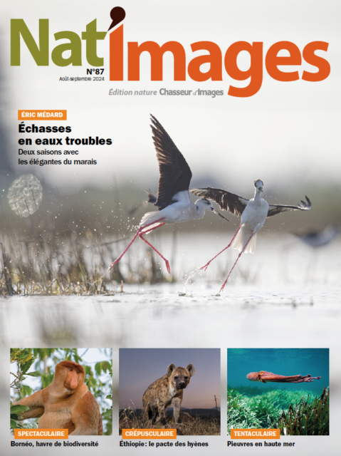 Nat’Images 87