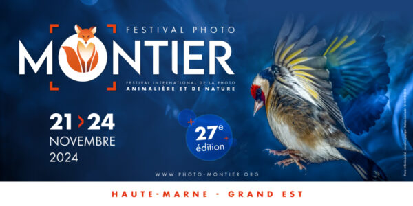Festiva Montier 2024 - Clique clac 358