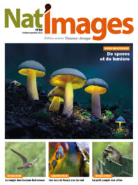 Nat’Images 88