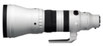 Sigma 300-600mm F4 DG OS Sports
