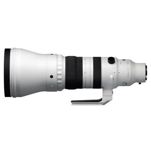 Sigma 300-600mm F4 DG OS Sports