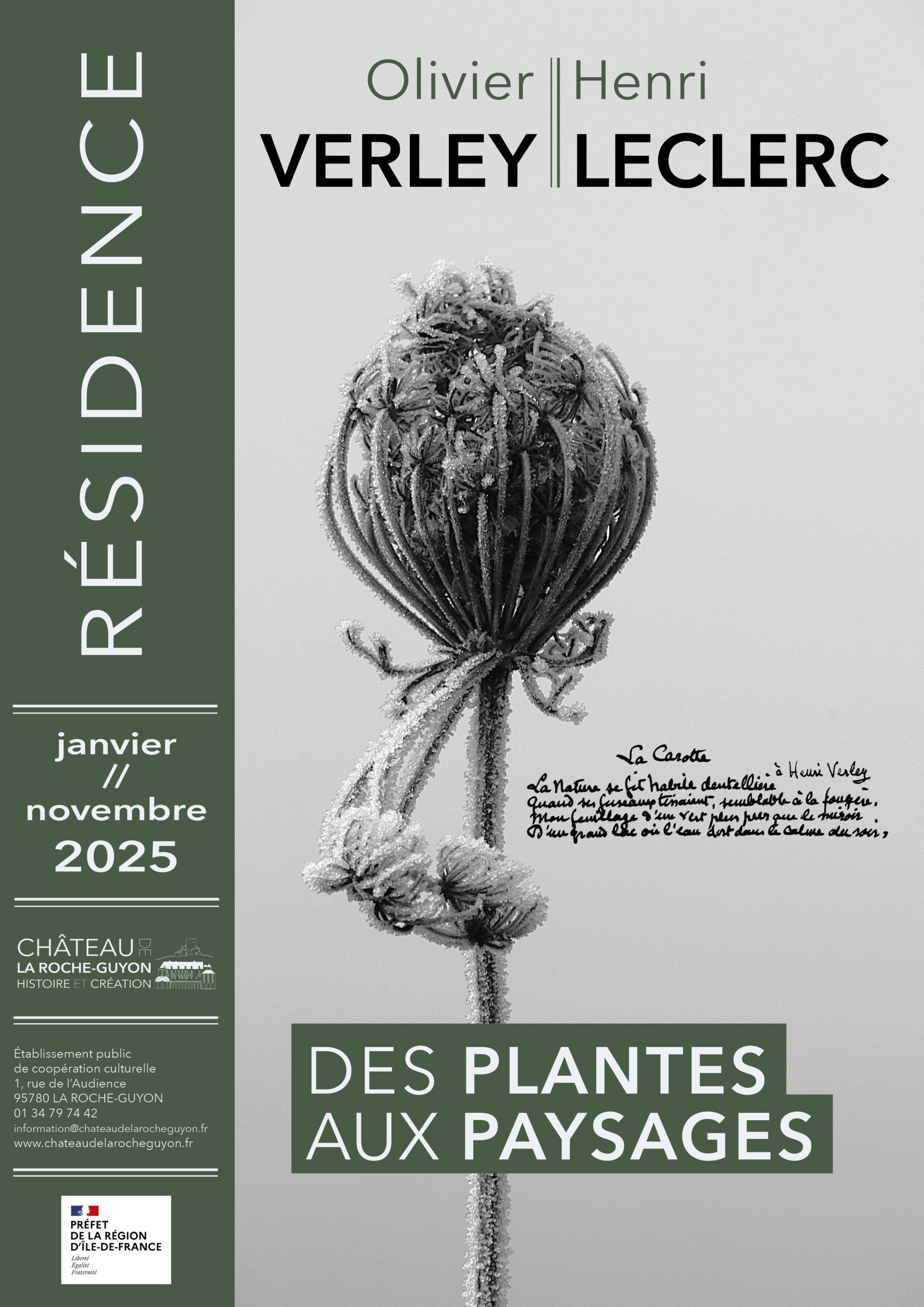 Des plantes aux paysages
