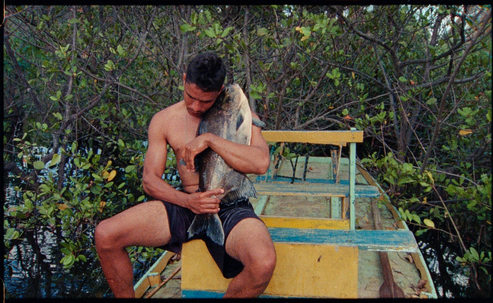 Gueule de bois tropicale et autres histoires