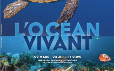 L'océan vivant