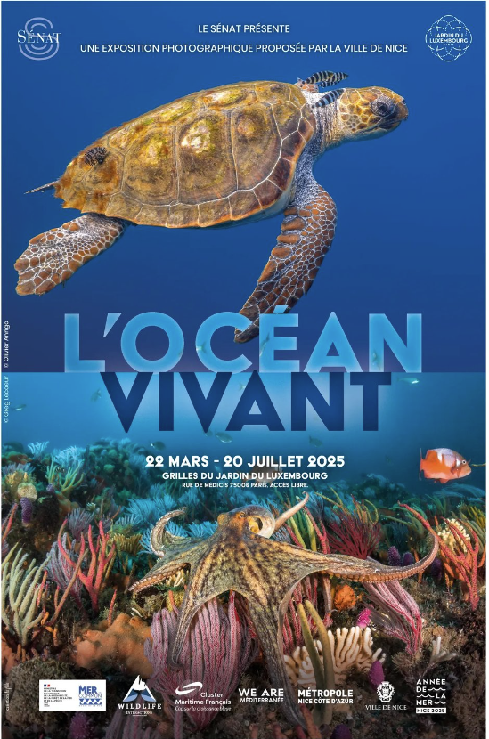 L'océan vivant