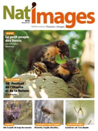 Nat’images 91