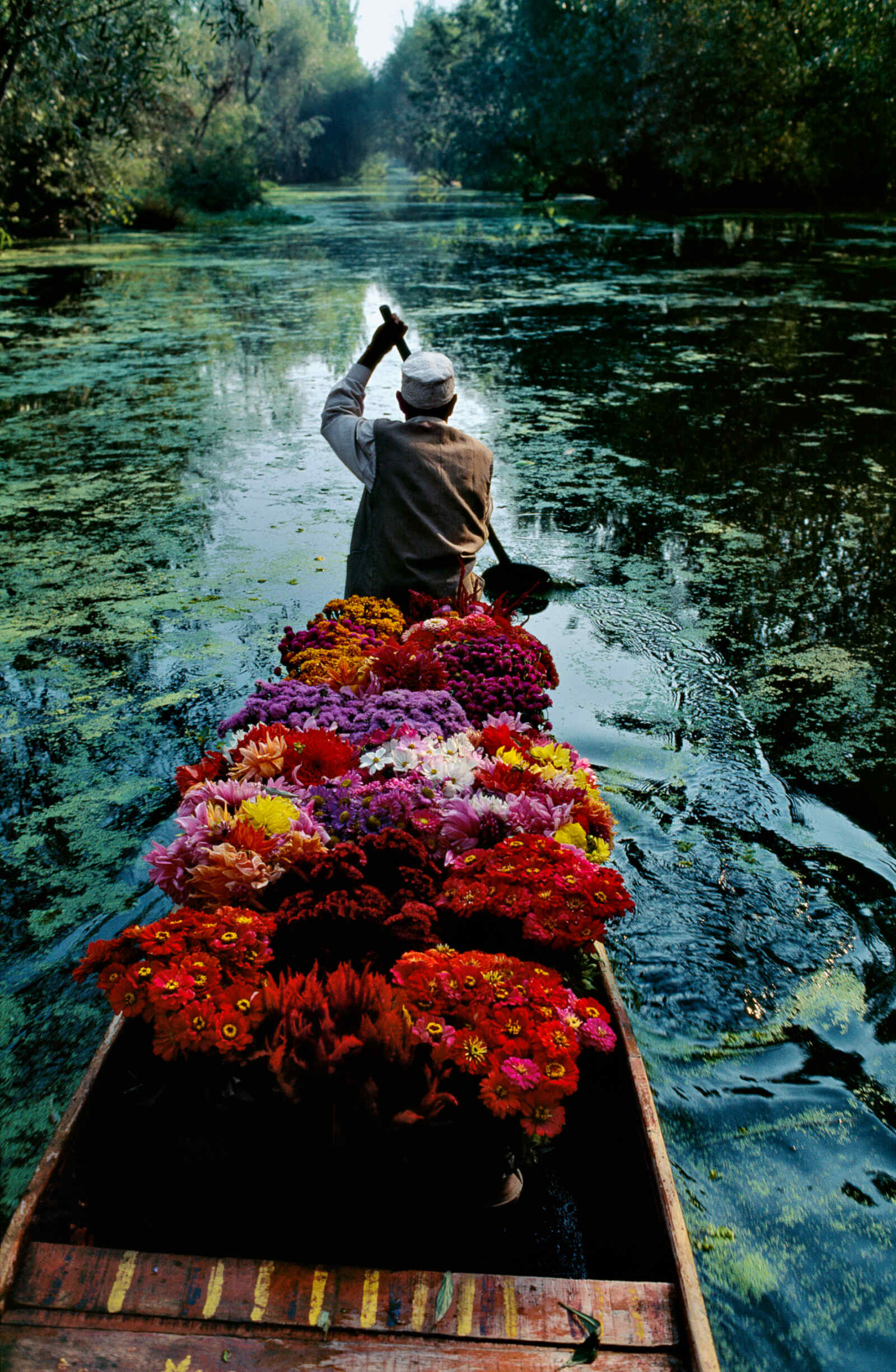 Steve McCurry : Icons