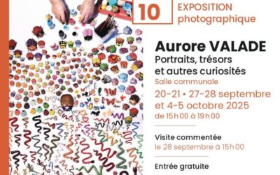 Zoom à Beaufou : "Portrait au cœur de sa collection"
