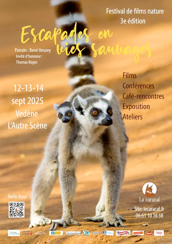 Escapades en vies sauvages