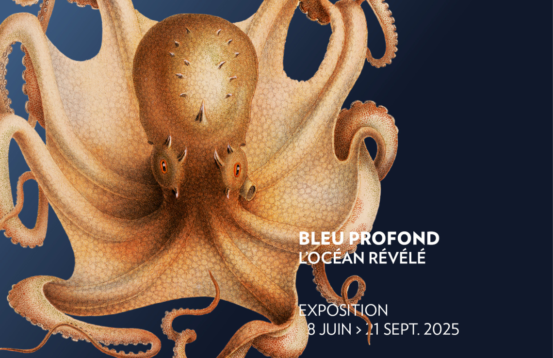 Bleu profond, l'océan révélé