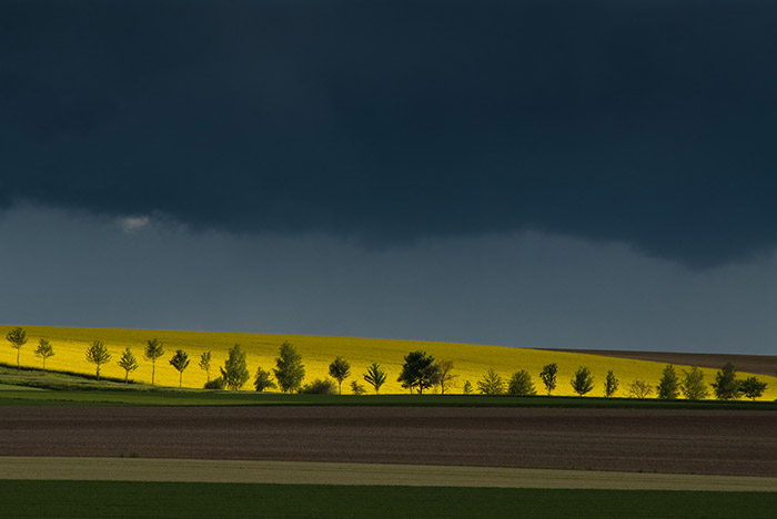 Quatre saisons en Champagne