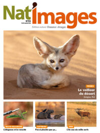 Nat’images 93