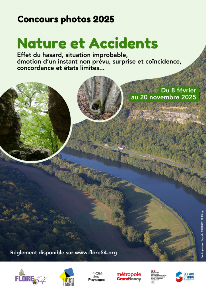 Nature et accidents