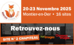 Chasseur d’Images au Festival Photo Montier 2025