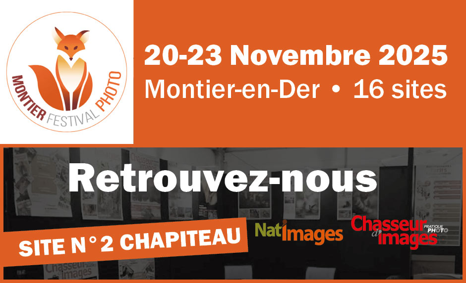 Chasseur d’Images au Festival Photo Montier 2025