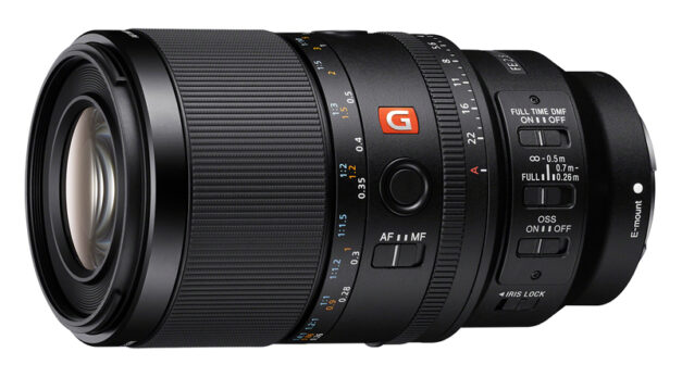 Sony FE 100 mm f/2,8 Macro GM OSS