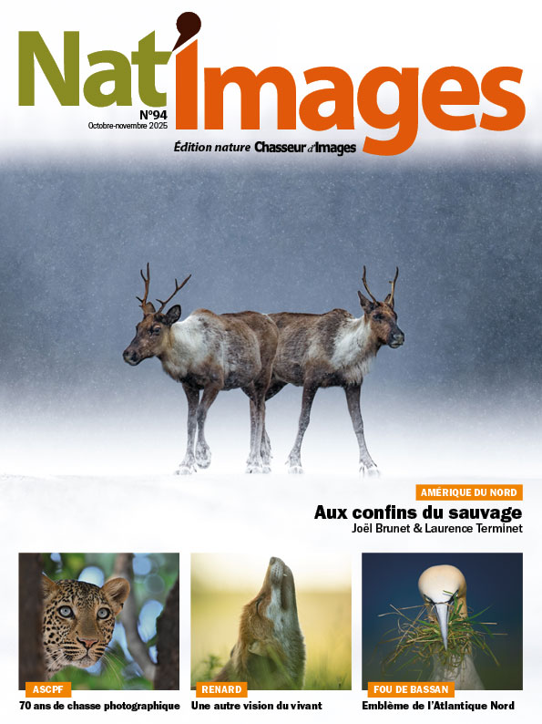 Nat'images 94